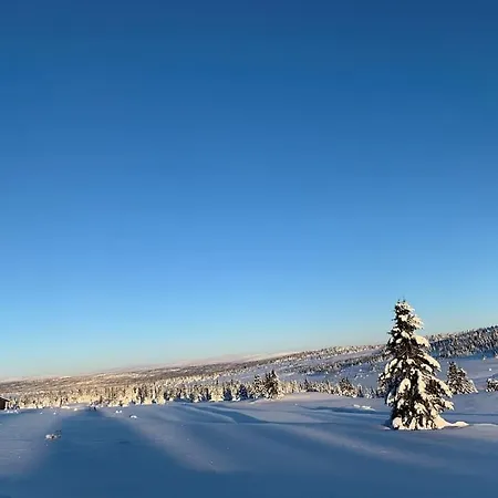 In Beautiful Sjusjoen, Near Lillehammer *