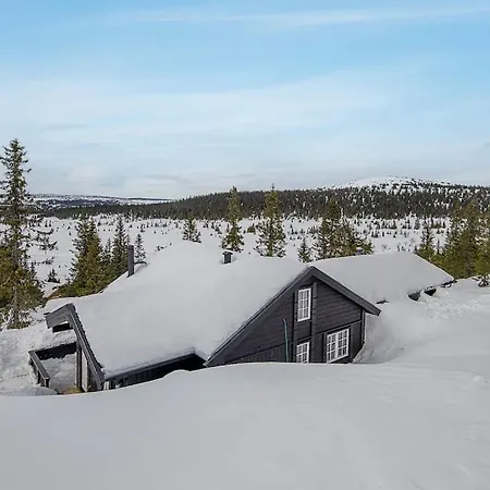 In Beautiful Sjusjoen, Near Lillehammer Sjusjøen