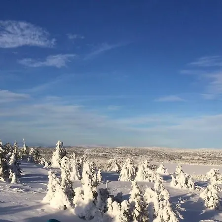 In Beautiful Sjusjoen, Near Lillehammer 펜션 *