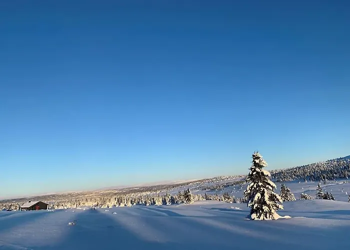 In Beautiful Sjusjoen, Near Lillehammer *