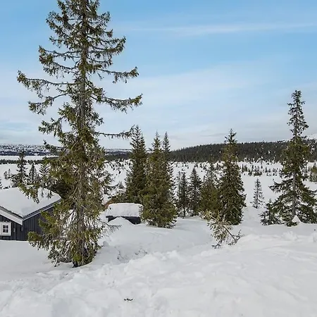 In Beautiful Sjusjoen, Near Lillehammer Sjusjøen